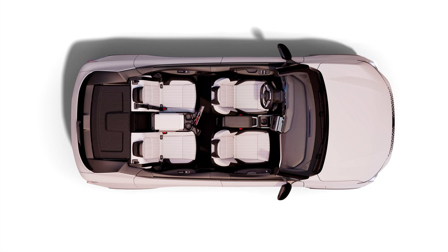 handle - Renault Scenic E-Tech electric