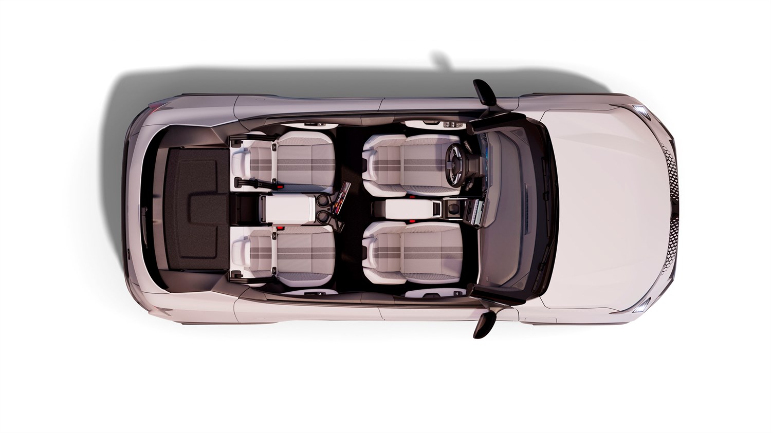 handle - Renault Scenic E-Tech electric